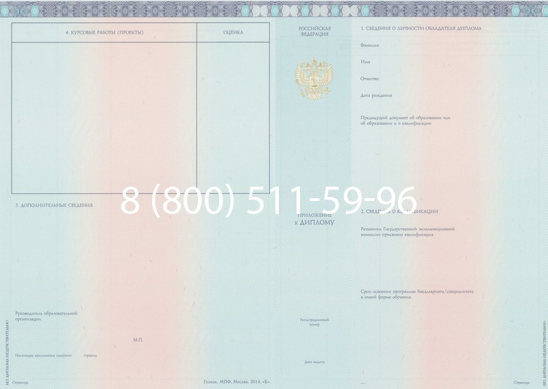 Заказать Диплом бакалавра 2014-2024 года в Балашихе Заказать Диплом бакалавра 2014-2024 года в Балашихе