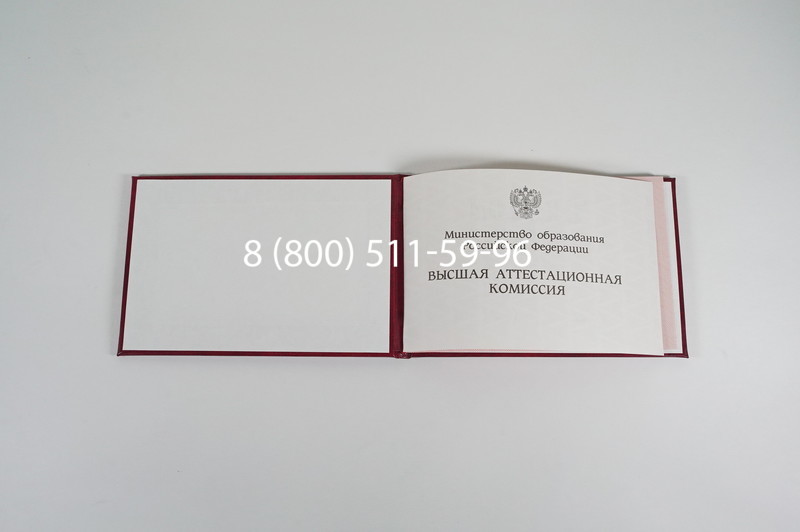 Диплом доктора наук 1995-2006 года в Балашихе Диплом доктора наук 1995-2006 года в Балашихе
