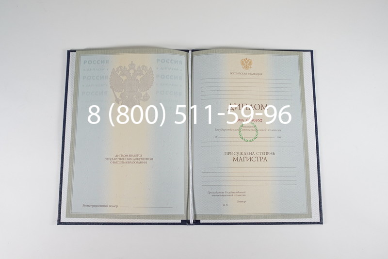 Диплом магистра 2003-2009 годов в Балашихе