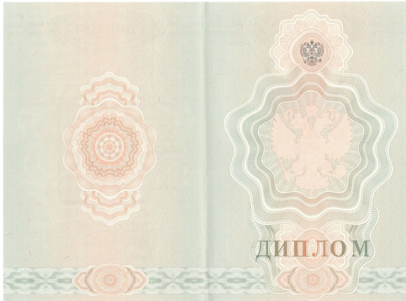 Купить Диплом о начальном образовании  2007-2009 годов в Балашихе