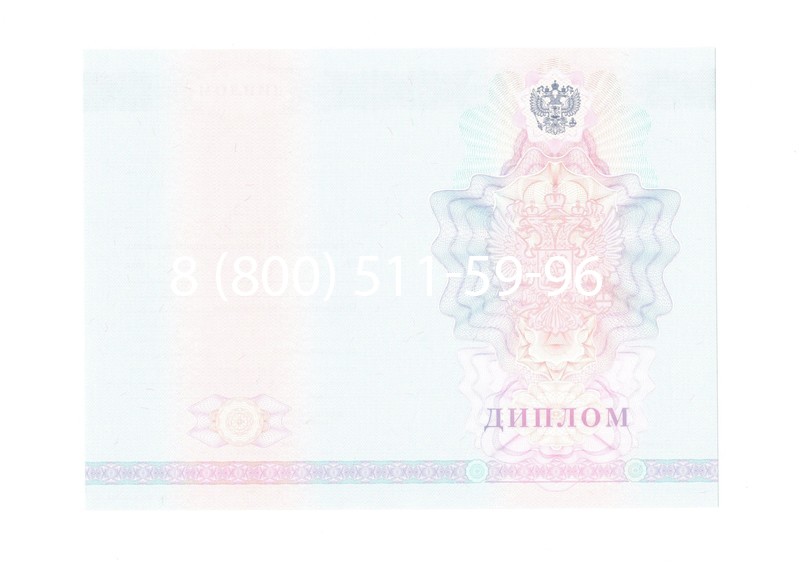 Заказать Диплом техникума 2007-2010 годов в Балашихе